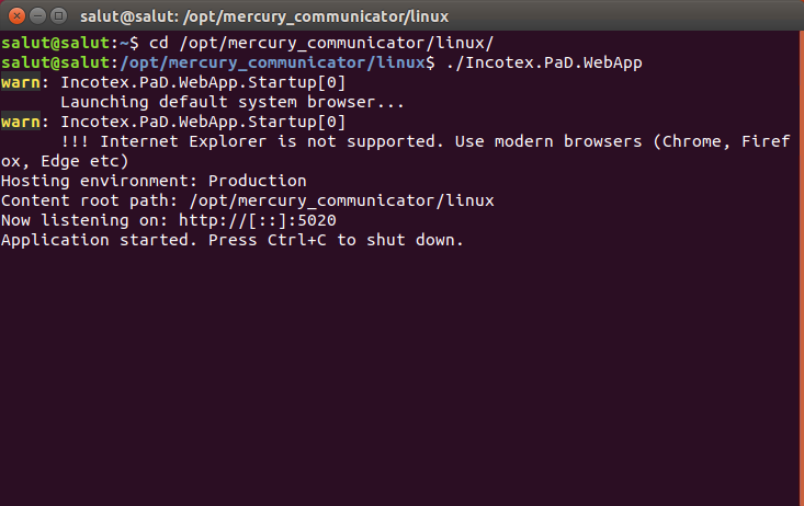 Запуск программы в Linux